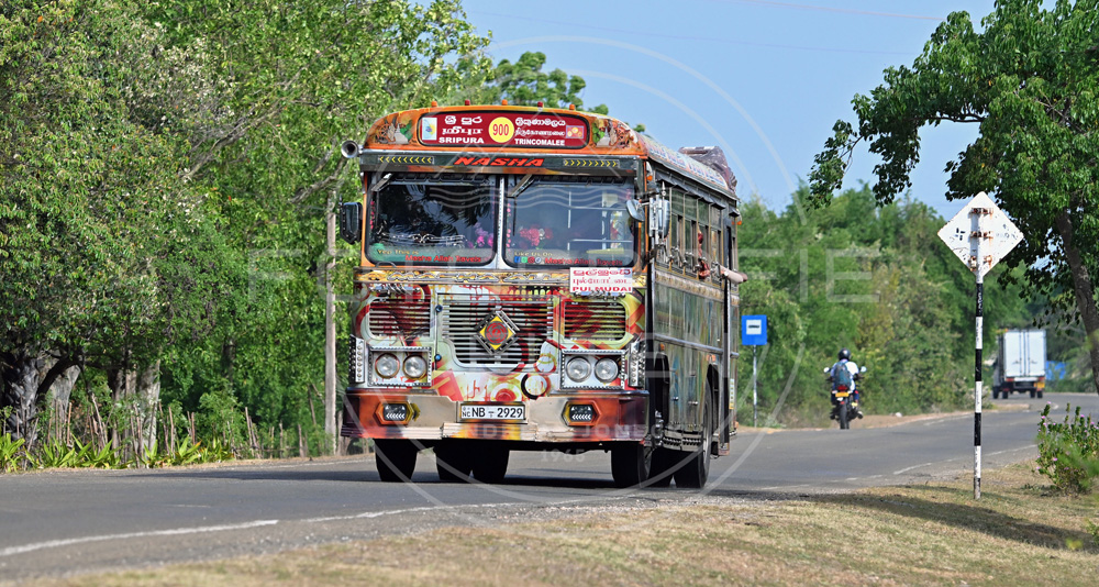 <i>Pulmoddai Road (Sri Lanka)<i>